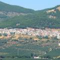 Pregón de fiestas Virgen del Campo ’23. Torres de Albánchez (Jaén).