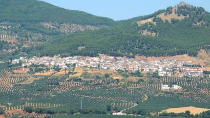 Imagen del municipio de Torres de Albánchez donde se ve el municipio rodeado de olivos.
