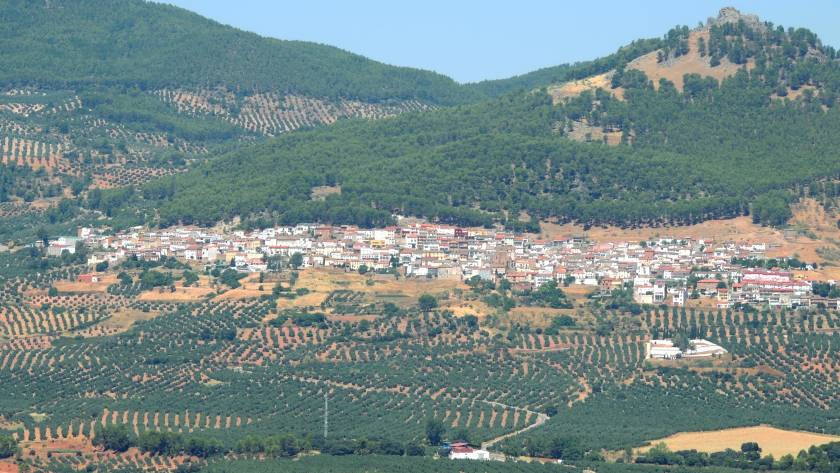 Imagen del municipio de Torres de Albánchez donde se ve el municipio rodeado de olivos.