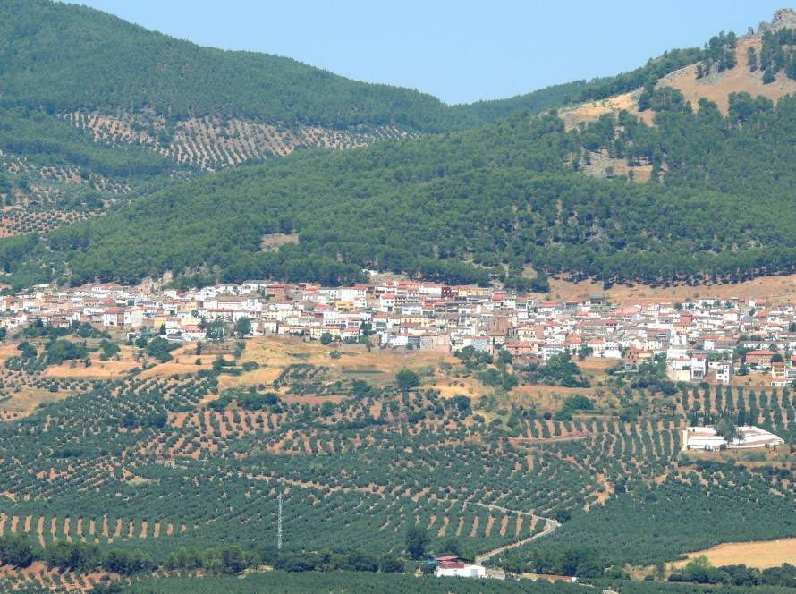 Imagen del municipio de Torres de Albánchez donde se ve el municipio rodeado de olivos.